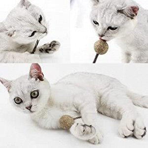 Кошачья мята на палочке