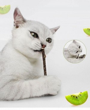 Кошачья мята на палочке