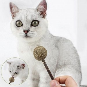 Кошачья мята на палочке
