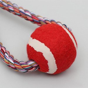 Игрушка канатная "Вираж" с мячом, до 135 г, до 37 см, микс цветов 5541889