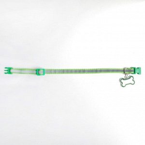 Ошейник светоотражающий с адресником, 30 х 1 см, капрон, цвет зелёный