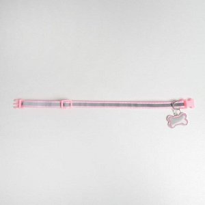 Ошейник светоотражающий с адресником, 30 х 1 см, капрон, цвет розовый