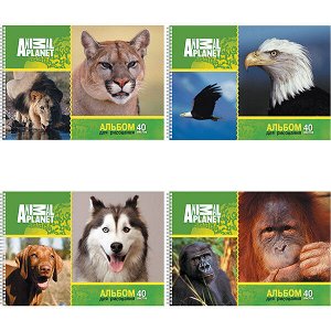 Альбом 40 л "Академия Холдинг Animal Planet" выб. УФ-лак гребень 1/10/20 арт. ЕАС-AP14/2