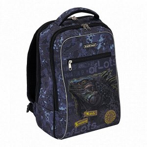 Рюкзак школьный "ErichKrause Iguana" ErgoLine18L Urban арт. ЕК-48673