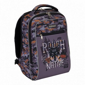 Рюкзак школьный "ErichKrause Rough Native" ErgoLine18L Urban серый арт. ЕК-48349