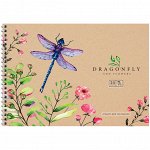 Альбом для рисования 24л., А4, на гребне ArtSpace &quot;Цветы. Dragonfly and flowers&quot;