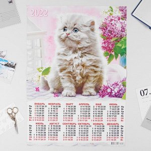 Календарь листовой А2 "Кошки 2022 - 4"
