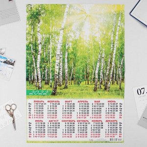 Календарь листовой А2 "Природа 2022 - 5"