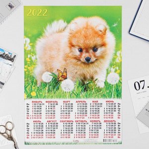 Календарь листовой А3 "Собаки 2022 - 3"