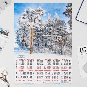 Календарь листовой А3 "Природа 2022 - 8"