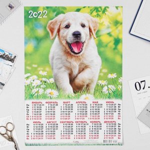 Календарь листовой А3 "Собаки 2022 - 1"