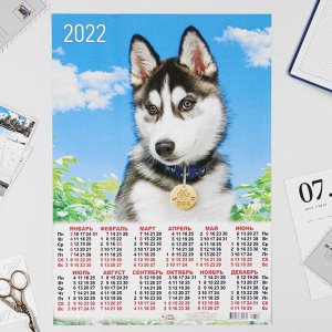 Календарь листовой А3 "Собаки 2022 - 2"