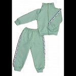 Спортивный костюм 0256/10 зеленый, лампасы