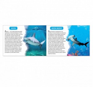 Обучающая книжка «Морские животные», 18 животных