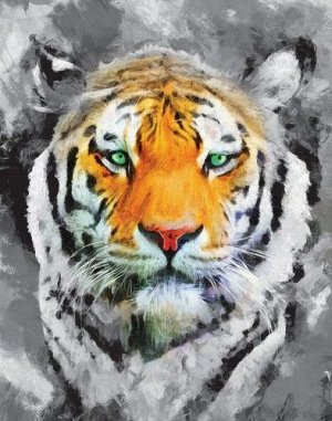 Холст с красками по номерам ""Красивый зеленоглазый тигр" 30*40 см