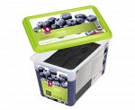 Пюре черники 1кг, Capfruit, Франция, шт