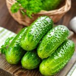 Огурчики грунтовые, картошечка. ✔ Фермерские продукты