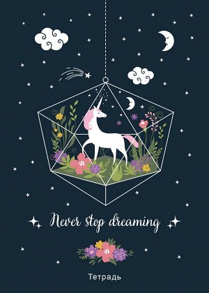 Тетрадь общая. Never stop dreaming! (А5, 48 л., мягк.обл.)