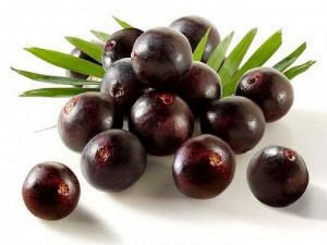 Red Bull The Purple Edition Açaí 250ml - Немецкий Ред Булл ягоды Асаи