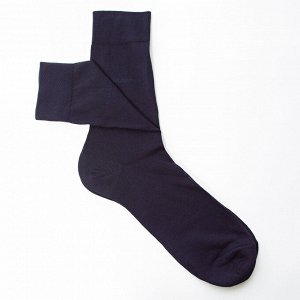 Nature Socks 101 Носки мужские классические хлопковые демисезонные синие