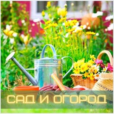 Сад и огород. Товары для сада и огорода