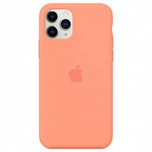 Силиконовый чехол Iphone 11 pro Цвет на выбор