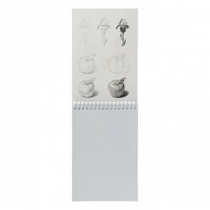 Блокнот-скетчбук А5, 32 листа на гребне Beautiful, обложка мелованный картон, жёсткая подложка, блок 160 г/м? с пошаговыми эскизами