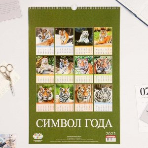 Календарь перекидной на ригеле "Символ года - 6" 2022 год, 320х480 мм
