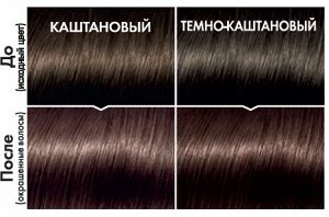 Краска для волос "Casting Creme Gloss" без аммиака, оттенок 412, Какао со льдом EXPS