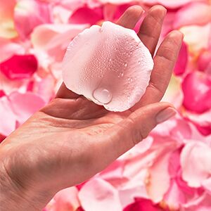 Garnier Мицеллярная Розовая вода, Очищение+Сияние, для тусклой и чувствительной кожи, 400 мл EXPS