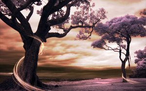 Фотообои Фиолетовые деревья