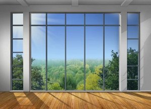 Фотообои Окно с видом на зеленый лес