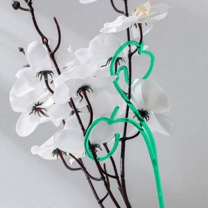 Держатель для орхидеи h=60 см, цвет зелёный