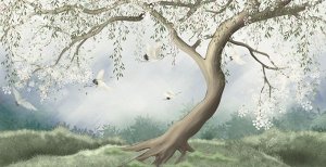 Фотообои Нежно-белое цветущее дерево