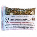 Володушка золотистая (100гр.)