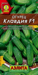 Огурец Клавдия F1