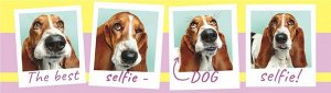 Картонная закладка "Собаки" с глиттером