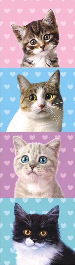 Картонная закладка "Кошки" с глиттером