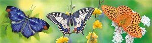 Картонная закладка "Бабочки" с глиттером
