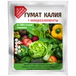 Гумат калия+микроэлементы 100г (ФХИ) Садовый Спасатель (50шт/уп)