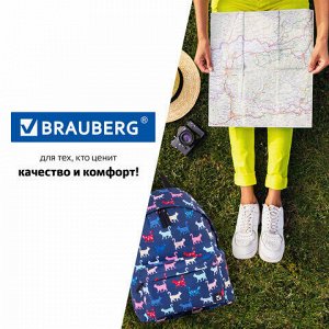 Рюкзак BRAUBERG, универсальный, сити-формат, Коты, 20 литров, 41х32х14 см, 228856