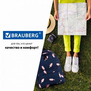 Рюкзак BRAUBERG, универсальный, сити-формат, Мороженое, 20 литров, 41х32х14 см, 228858