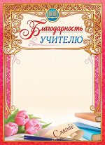 Благодарность учителю