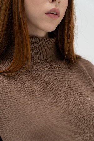 Свитер Модель: свитер. Цвет: коричневый. Комплектация: свитер. Состав: шерсть-50%, акрил-50%. Бренд: aim. Фактура: однотонная. Плотность: средняя.