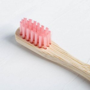 Зубная щетка с подставкой  "Розовые мечты", 4,3 ? 18,5 ? 4,3 см