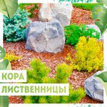 Кора лиственницы. Лучшее для мульчирования🌲 +
