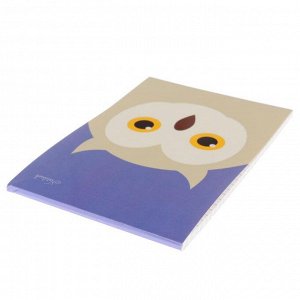 Блокнот А6, 40 листов на клею "Сова. Дизайн-1", обложка мелованный картон, блок офсет 70 г/м2