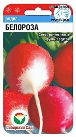 Редис Белороза 2г СибСад цв/п 25