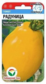 Томат Радуница 20шт (Сиб Сад)