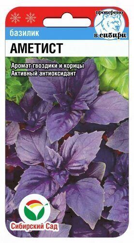 Базилик Аметист (Код: 92086)